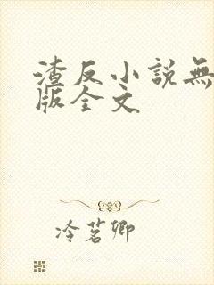 渣反小说无删减版全文封面