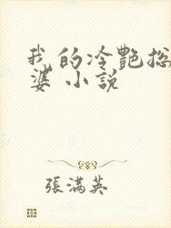 我的冷艳总裁老婆 小说