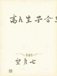 高h生子合集