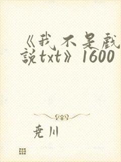 《我不是戏神小说txt》1600封面