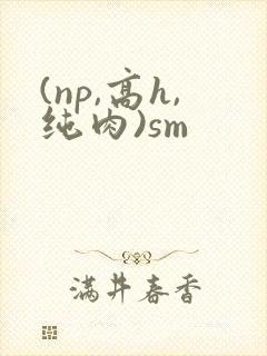 (np,高h,纯肉)sm