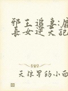 邪王追妻:废柴长女逆天记