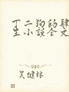 丁二狗的肆意人生小说全文听