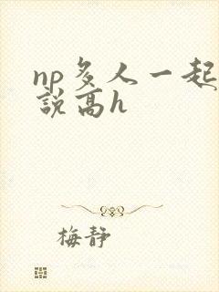 np多人一起小说高h