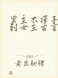 男主不择手段得到女主古言封面
