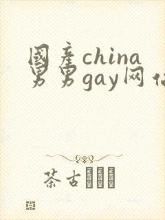 国产china男男gay网站站