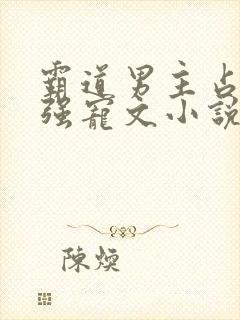 霸道男主占有欲强宠文小说封面