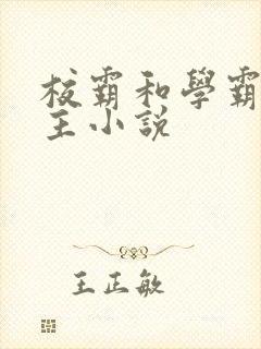 校霸和学霸双男主小说