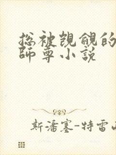 总被觊觎的清冷师尊小说