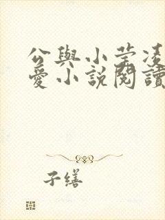 公与小莹凌晨欢爱小说阅读最新章节