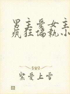 男主爱女主爱到疯狂偏执小说