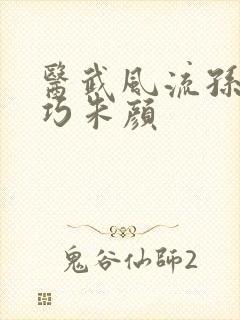 医武风流孙哲叶巧朱颜