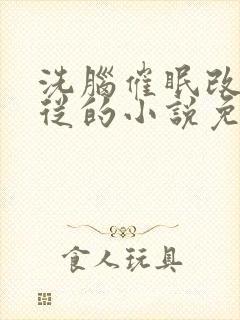 洗脑催眠改造服从的小说免费阅读