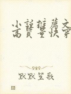 小说推荐文笔好高质量快穿文