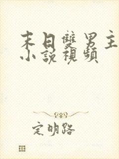 末日双男主病娇小说视频