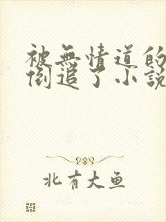 被无情道的师弟倒追了小说