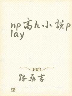 np高h小说play