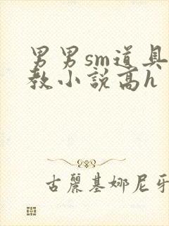 男男sm道具调教小说高h