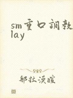 sm重口调教play封面