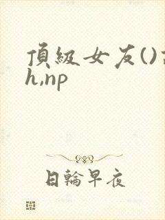 顶级女友()高h,np