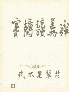 官场掠美小说免费阅读无弹窗