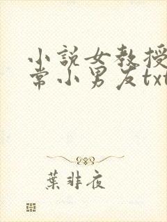 小说女教授的日常小男友txt下载