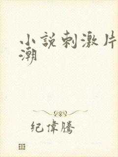 小说刺激片段高潮