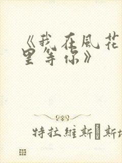 《我在风花雪月里等你》封面