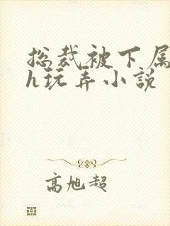 总裁被下属调教h玩弄小说