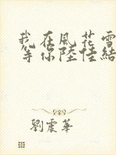 我在风花雪月里等你陆佳结局