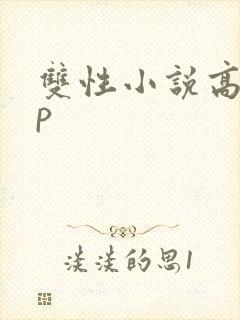 双性小说高hnp