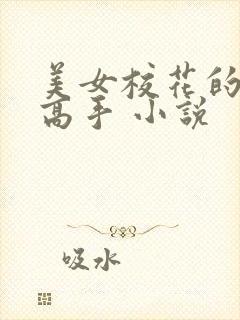 美女校花的贴身高手 小说