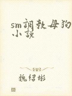 sm调教母狗的小说