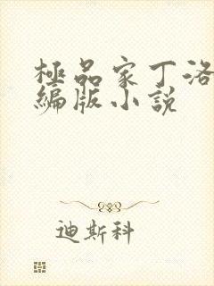 极品家丁洛凝改编版小说封面