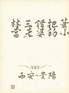 林三错把萧夫人当老婆的小说