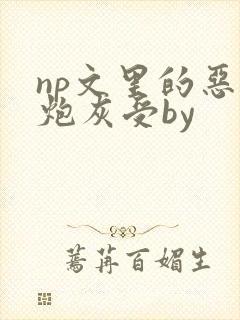 np文里的恶毒炮灰受by