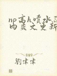np高h喷水荡肉爽文更新时间