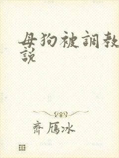 母狗被调教的小说封面