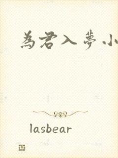 为君入梦小说