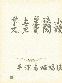 掌上丽珠小说全文免费阅读笔趣阁