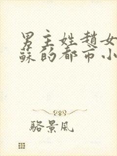 男主姓赵女主姓苏的都市小说