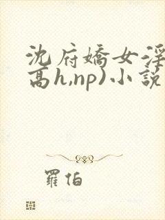 沈府娇女淫史(高h,np)小说封面