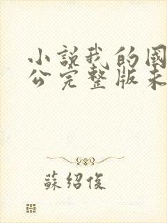 小说我的国民老公完整版未删减小说封面