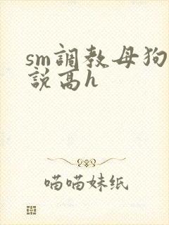 sm调教母狗小说高h封面