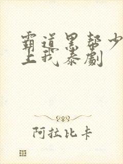 霸道黑帮少爷爱上我泰剧