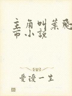 主角叫叶飞的都市小说