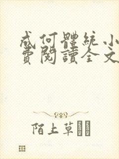 成何体统小说免费阅读全文在线封面