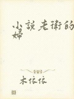 小说老卫的儿媳妇