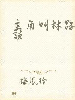 主角叫林路的小说封面