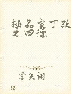 极品家丁改编版之四德